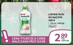 Selgros Ludwik płyn do naczyń oferta
