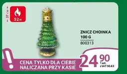 Selgros Znicz choinka oferta