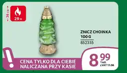 Selgros Znicz choinka oferta