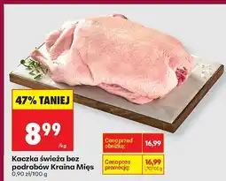 Biedronka Kaczka świeża bez podrobów Kraina Mięs oferta
