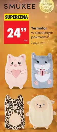 Biedronka SMUKEE Termofor w ozdobnym pokrowcu oferta