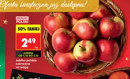 Biedronka Jabłka polskie czerwone na wagę oferta