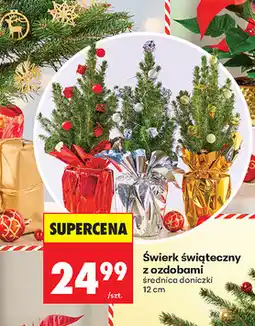 Biedronka Świerk świąteczny z ozdobami oferta