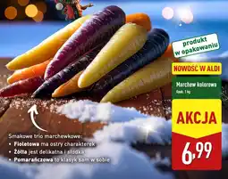 ALDI Marchew kolorowa Farmer Aldik oferta