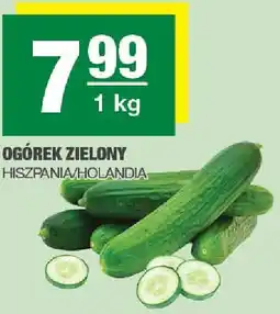 Spar Ogórek zielony Hiszpania/Holandia SPAR oferta