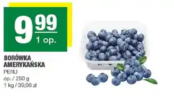 Spar Borówka amerykańska Peru SPAR oferta