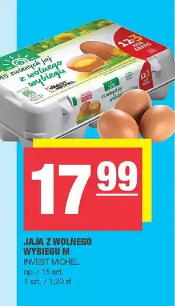 Spar Jaja z wolnego wybiegu M Invest Michel oferta