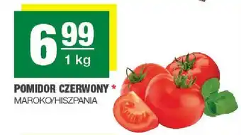 Pomidor czerwony Maroko/Hiszpania SPAR