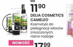 Sekret Urody DELIA COSMETICS CAMELEO oferta