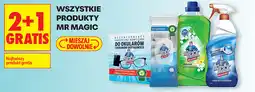 Biedronka Produkty Mr. Magic oferta
