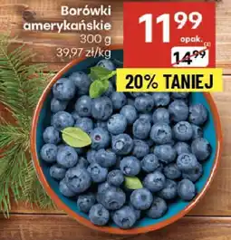 Delikatesy Centrum Borówki amerykańskie 300g Delikatesy Centrum oferta