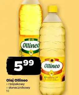Netto Olej Ollineo oferta