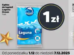 Netto Gąbka do kąpieli oferta