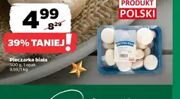 Netto Pieczarka biała oferta