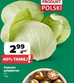 Netto Kapusta gołąbkowa oferta