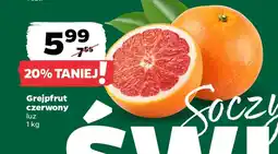 Netto Grejpfrut oferta