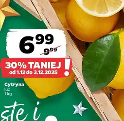 Netto Cytryna oferta