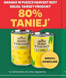 Netto ANANAS W PUSZCE HARVEST BEST oferta