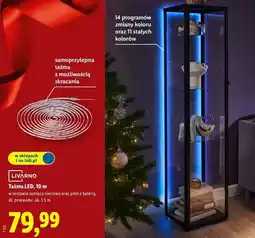 Lidl Taśma LED, 10 m oferta