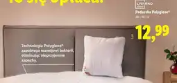 Lidl Poduszka Polygiene oferta