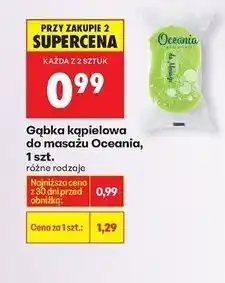 Biedronka Gąbka do masażu Oceania oferta