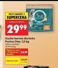 Biedronka Karma dla kota adult kurczak i pełne ziarna Purina One oferta