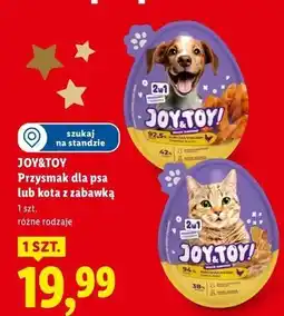 Lidl Jajko niespodzianka dla kota Joy&Toy! oferta