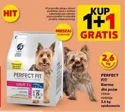 Kaufland Karma dla psa adult 1+ oferta
