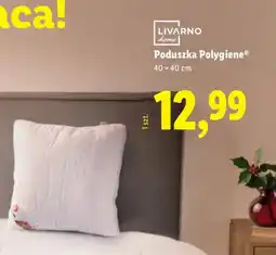 Lidl Poduszka oferta