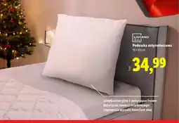 Lidl Poduszka antyroztoczowa oferta
