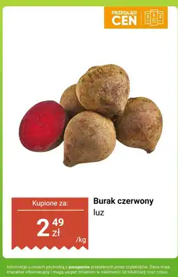 Dino Burak czerwony luz Dino oferta