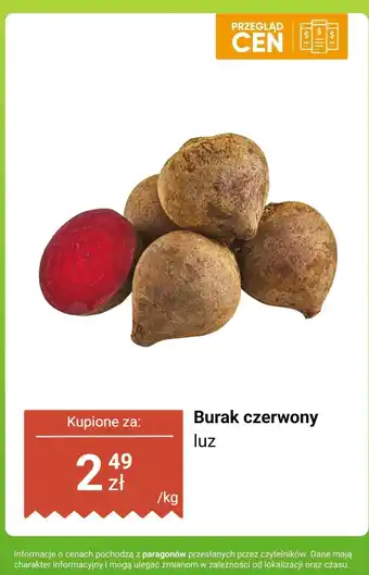 Dino Burak czerwony luz Dino oferta