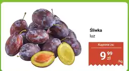 Dino Śliwka luz Dino oferta