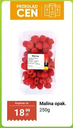 Dino Malina opak. 250g Dino oferta