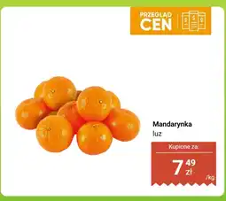 Dino Mandarynka luz Dino oferta