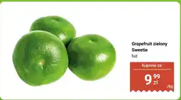 Dino Grapefruit zielony Sweetie luz Dino oferta