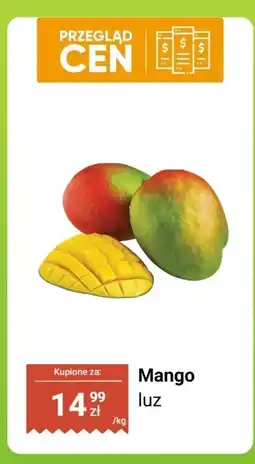 Dino Mango luz Dino oferta