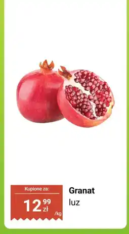 Dino Granat luz Dino oferta