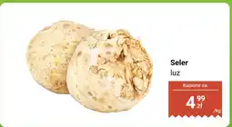 Dino Seler luz Dino oferta