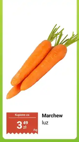 Dino Marchew luz Dino oferta