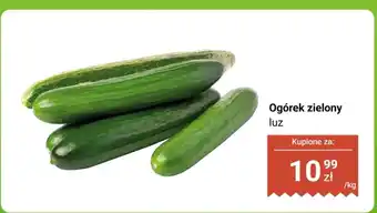 Dino Ogórek zielony luz Dino oferta