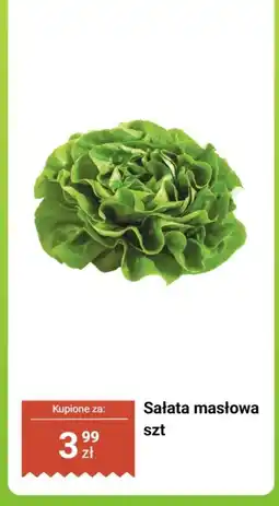 Dino Sałata masłowa 1 szt. Dino oferta