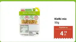 Dino Kiełki mix Uniflora oferta