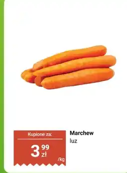 Biedronka Marchew luz Biedronka oferta
