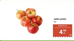 Biedronka Jabłko polskie Biedronka oferta
