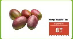 Biedronka Mango dojrzałe 1 szt. Biedronka oferta