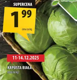 Arhelan Kapusta biała Arhelan oferta