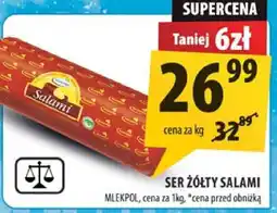 Arhelan Ser żółty salami Mlekpol oferta
