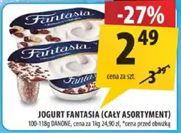 Arhelan Jogurt Fantasia (cały asortyment) Danone oferta