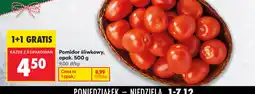 Biedronka Pomidor śliwkowy oferta